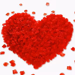 Artificial Red Rose Petals – 500 Pieces for Romantic Decoration, Wedding, and Valentine’s Day