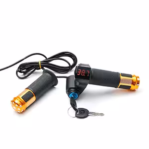 Throttle Lever with Contact and Key for Electric Bikes and Scooters – Battery Indicator 12V-72V