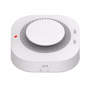 Tuya Smart WiFi Smoke Sensor – Wireless Home Safety Detector