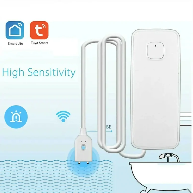 Smart alarm for detecting water leaks in the home